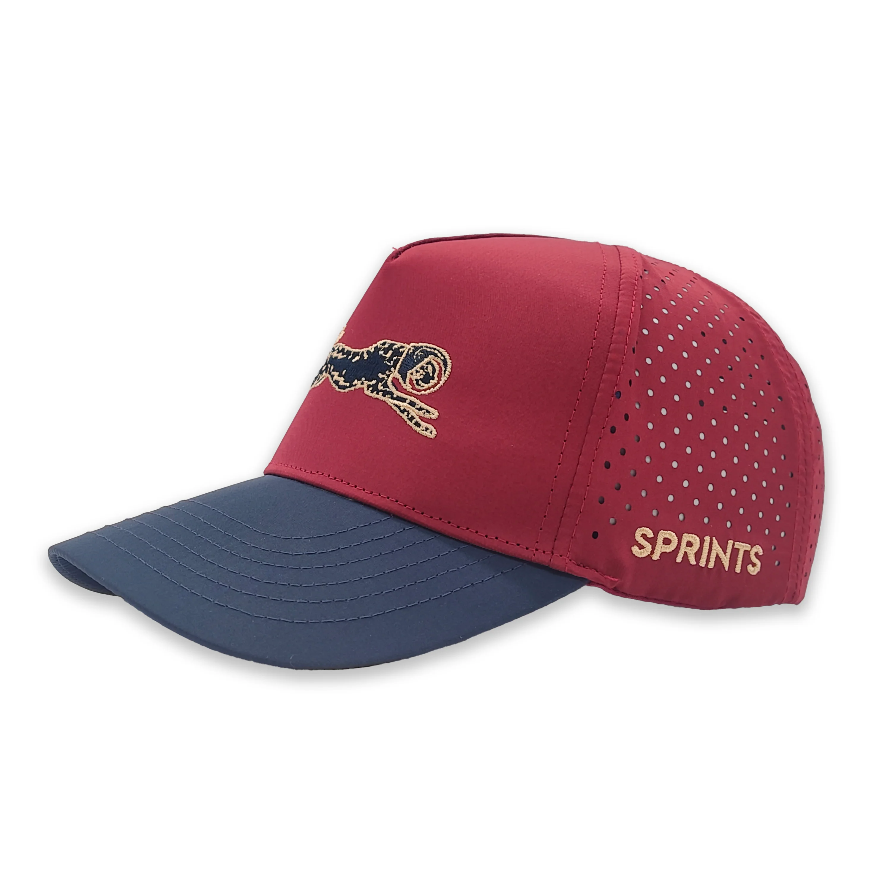 Victory Sprints Bloodline Structured VP Hat (Unisex) - Image 5